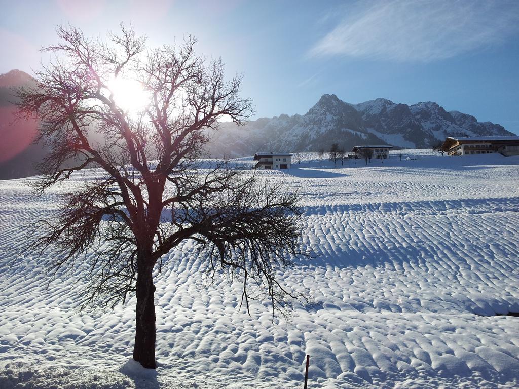 Chalet Glockenhof Walchsee Exterior foto
