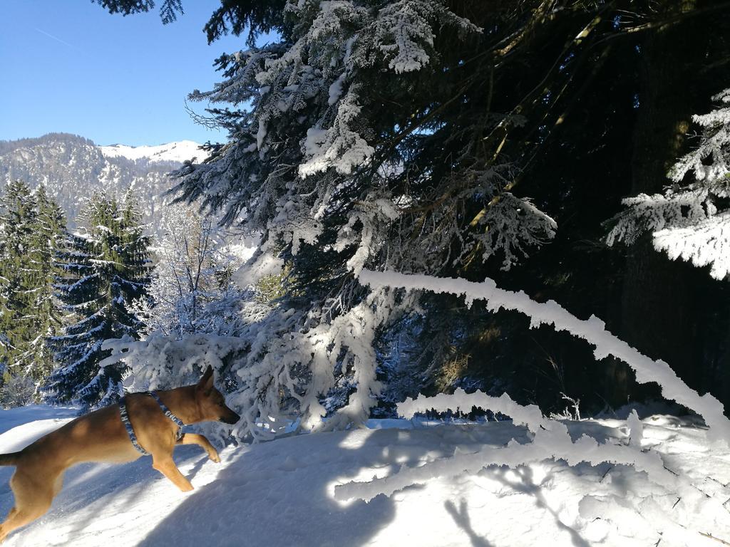 Chalet Glockenhof Walchsee Exterior foto