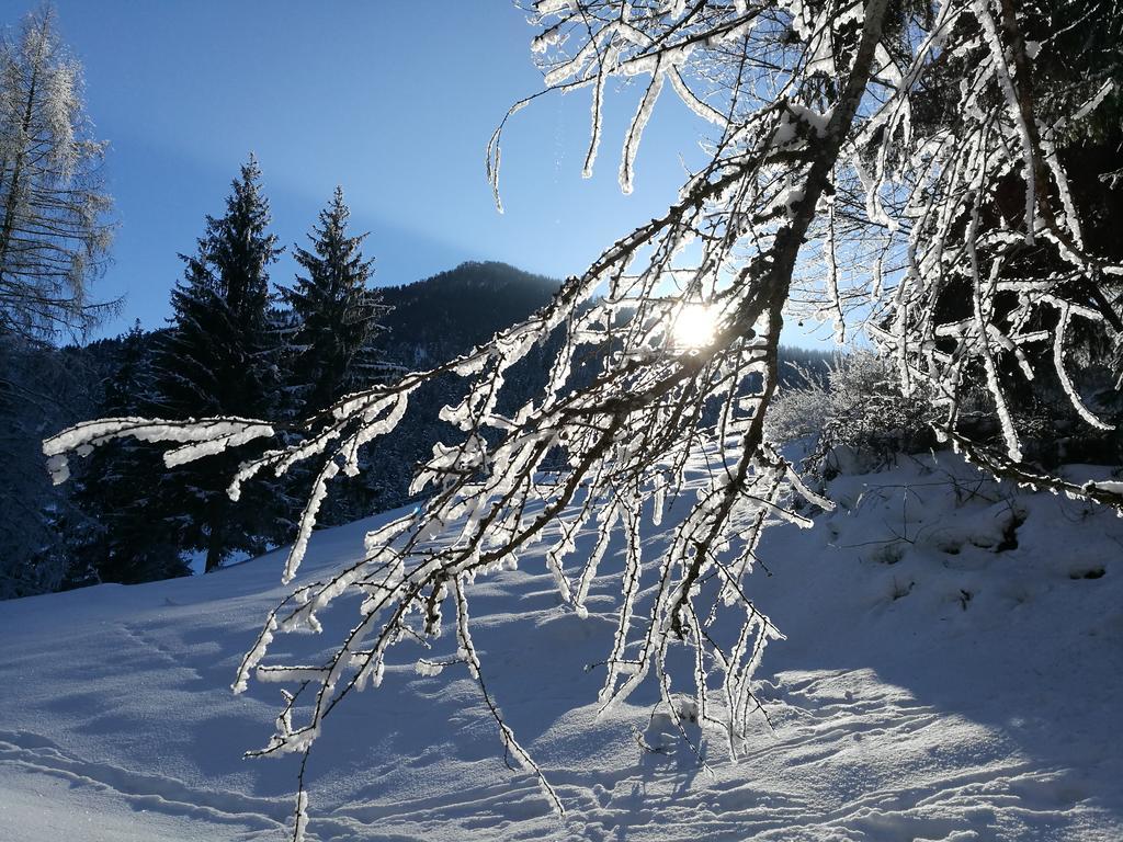 Chalet Glockenhof Walchsee Exterior foto